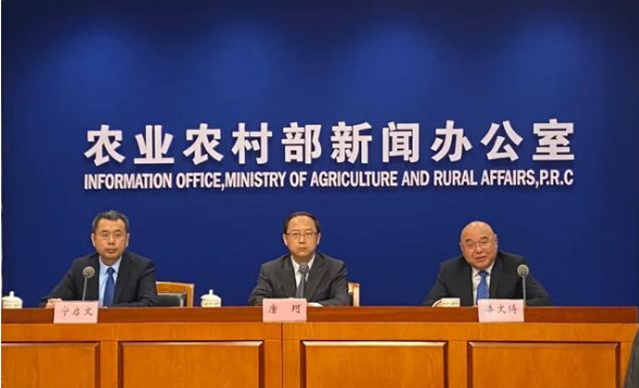 农业农村部：当前我国粮价总体保持稳定粮食生产供给完全有保障