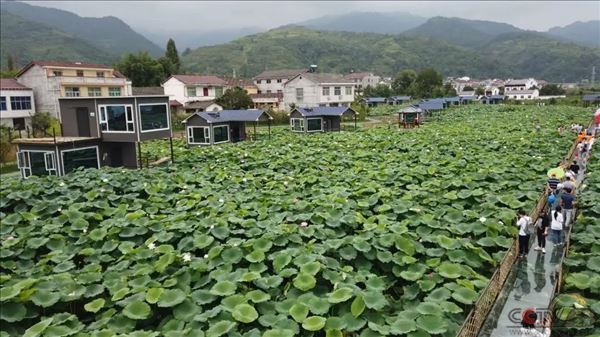 胜利村“胜利”了，丰收村“丰收”了