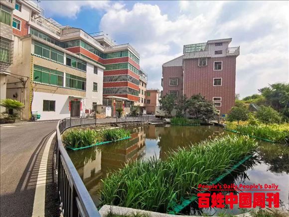 浙江义乌苏溪镇龙华村：追逐“美丽”不停步 “一江清水送下游”