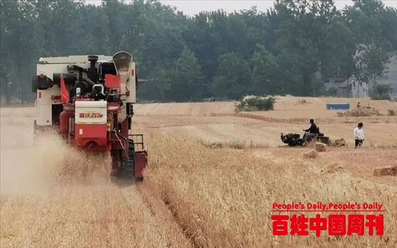 三农之声推荐：疫情之后，农村为何掀起了“盖房潮”？