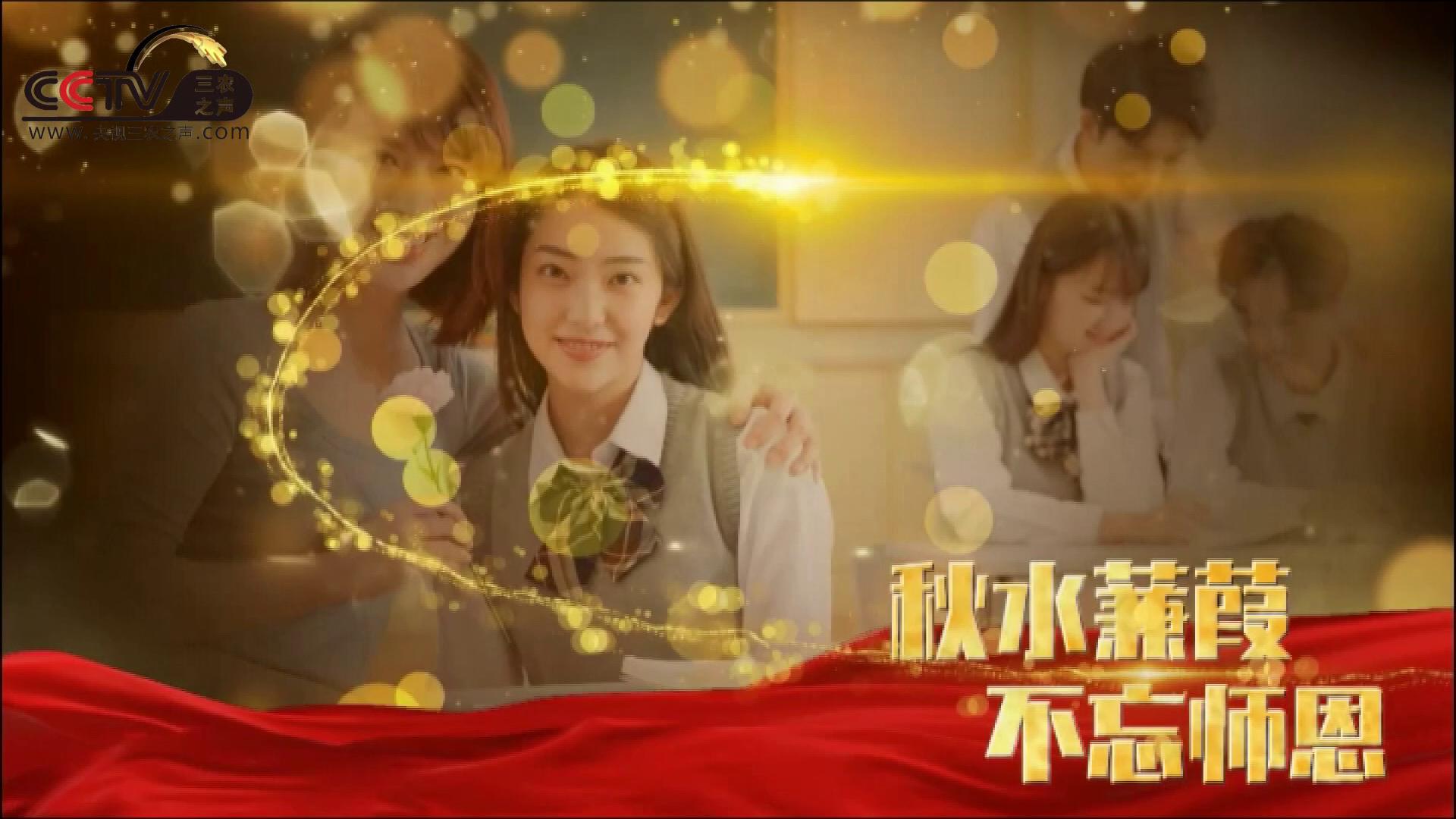 三农之声：老师我想你-致我们最敬爱的老师教师节快乐