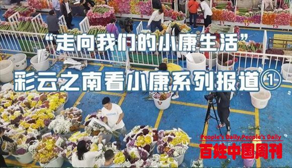 农民日报：这里的农业，色彩很丰富！