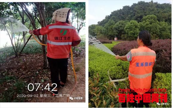 江西宜春中心城区全力以赴抗旱保苗 保障园林绿化成果