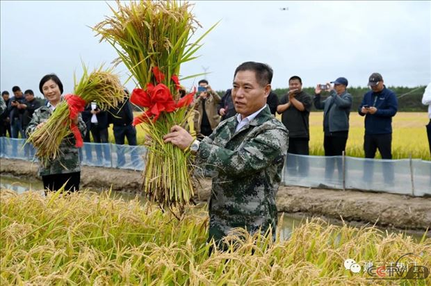 北大荒农垦集团黑龙江前哨农场有限公司水稻开镰竞拍出一斤1188元天价