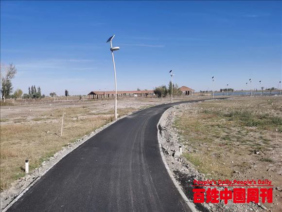 青海省格尔木市湿地公园初建成，城市“绿肺”换新机