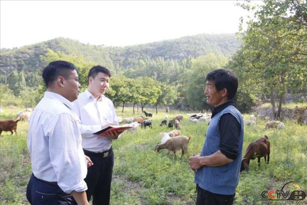 河南省修武农商银行提升服务质效助农路越走越宽