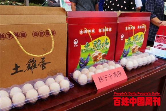 陕西扶风杏林镇：庆丰收助脱贫 启动“消费扶贫月”