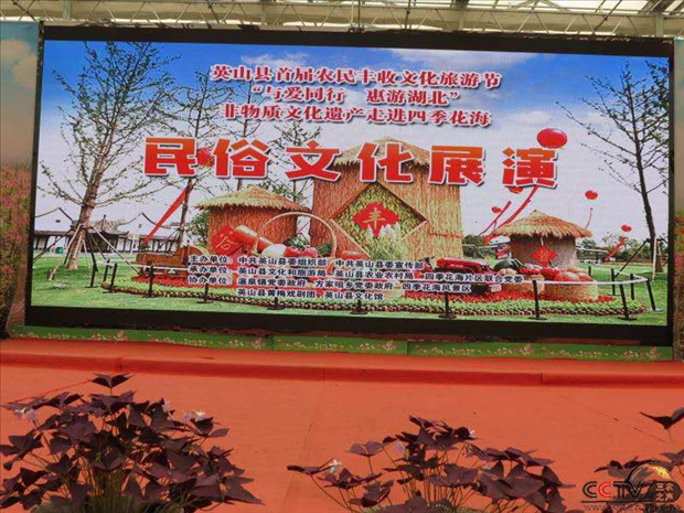 花海香里说丰年：湖北英山举办首届农民丰收文化旅游节