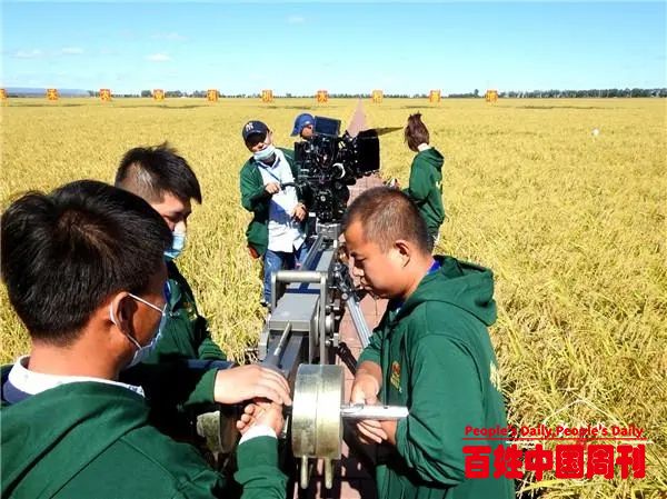 一个关于东北大米的故事在庆安开机