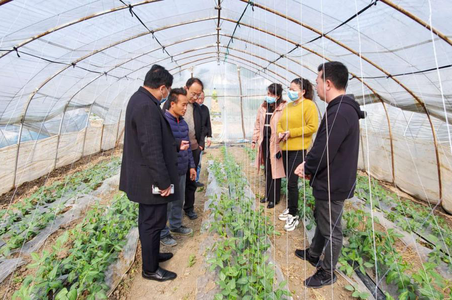 安徽涡阳蒋家彬:愿为乡亲们脱贫致富奔小康增添成色