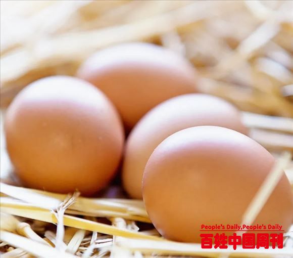 厉害了：真没想到竟然是这样一颗构树枸杞鸡蛋