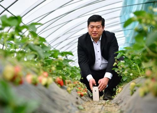 农业农村部：继续推进农业技术人才和高素质农民培养 