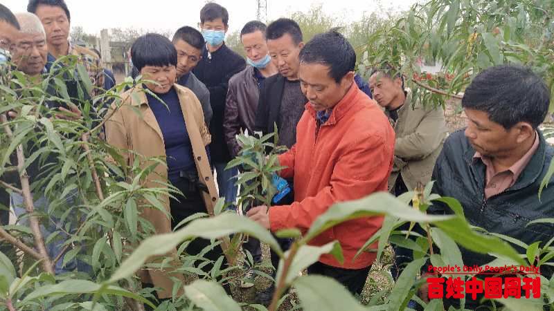 湖北鄂州市鄂城区生态农业协会揭牌仪式暨首期农业技能培训班开课