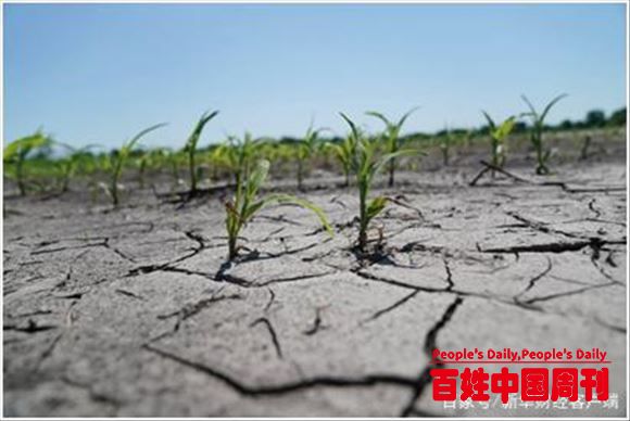 美国农民破产案激增农业债4250亿美元创近40年新高