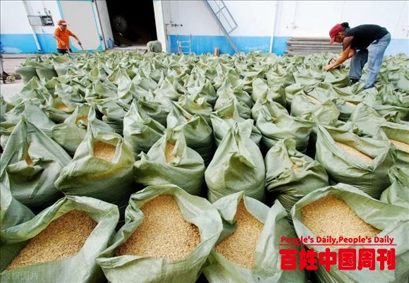 农业农村部七天两次回应玉米涨价传递了什么信息真的涨不动了吗？