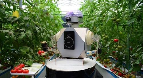 蔬菜规模化生产人机智能协作技术在京展示，智慧农业又近一步