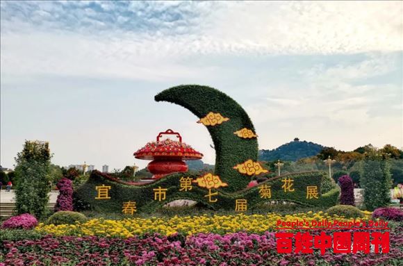 秋日菊语——江西省宜春市第七届菊花展即将开幕