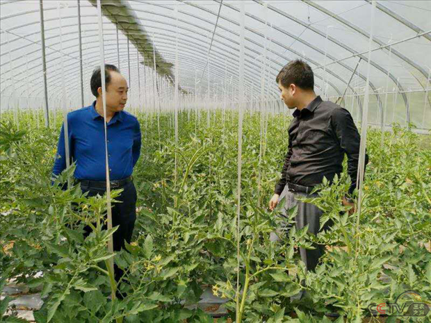 陕西省洛南县财政局党组书记、局长杨少锋：做好财政引领，全面小康一个不落