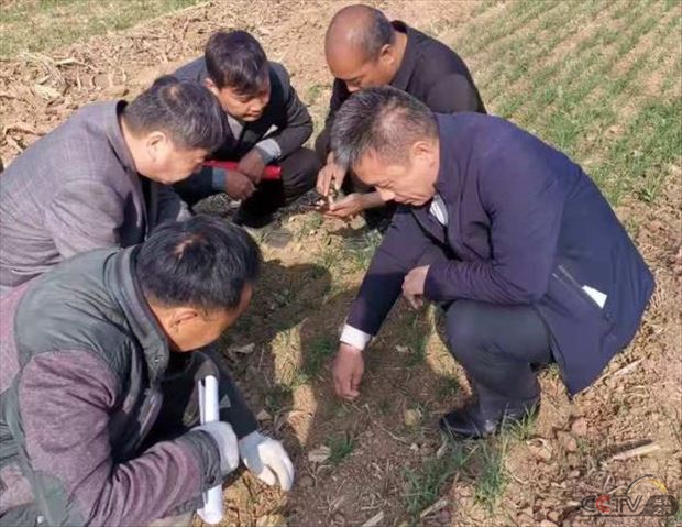 河北磁县多措并举"麦草秋治"