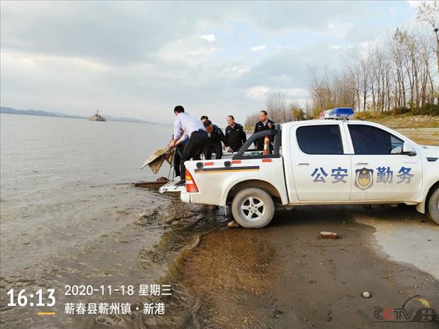 湖北蕲春县长江禁捕办将1800螺丝放归长江