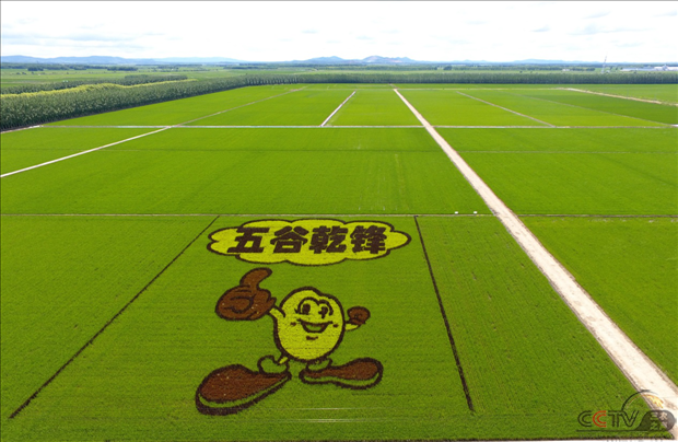黑龙江省打造美丽幸福农垦城