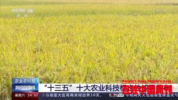 农业农村部：“十三五”期间十大农业科技标志性成果公布