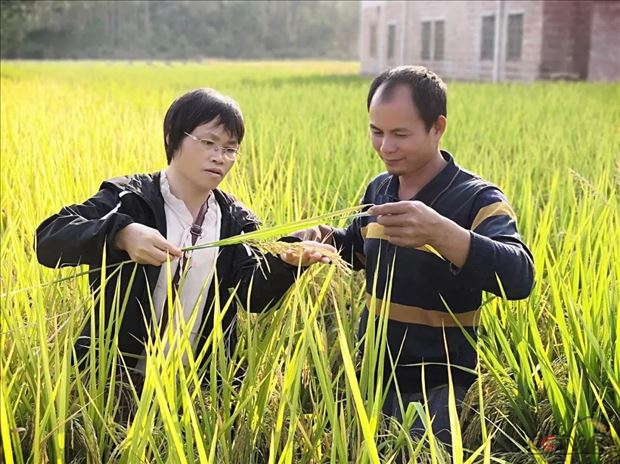 人大代表专访：邓小银--乡土人才引领，助力乡村振兴