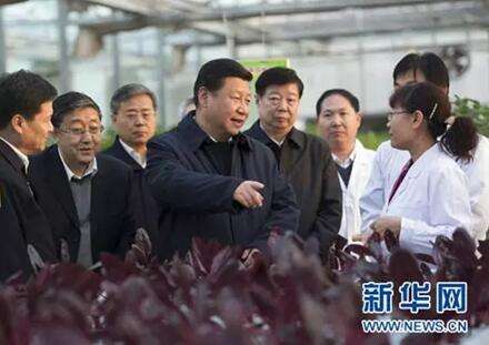 中国农科院将聚焦农业“卡脖子”技术培养一批领军人才