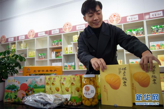 “新农人”种活“老栗树”：怀柔小伙返乡创业记