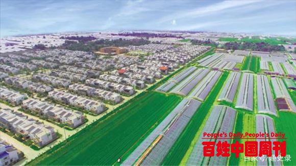 吕德文：山东合村并居成不了乡村振兴的样板