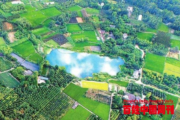 乡村振兴专员：又一“铁饭碗”悄然出现，可以提任乡镇领导
