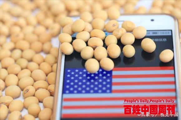 为何美国推崇农业，而中国却遍地盖新楼？答案出乎你的想像！