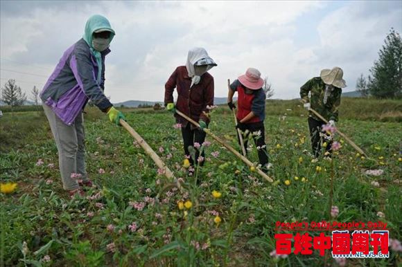 探寻减贫“中国策”——写在西海固告别绝对贫困之际