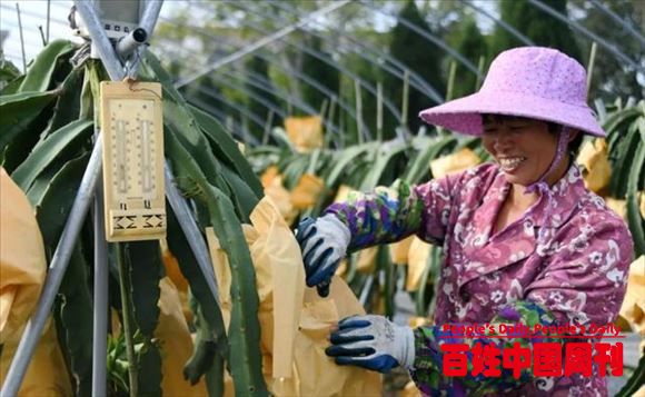 后脱贫攻坚时代如何超前谋划？四部门给出答复