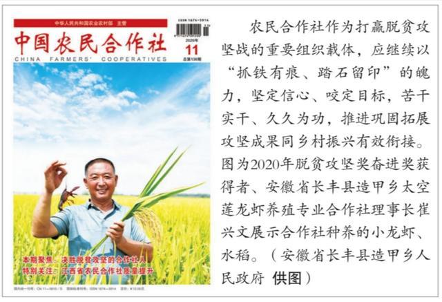 全国农民合作社质量提升整县推进试点工作取得阶段性成果