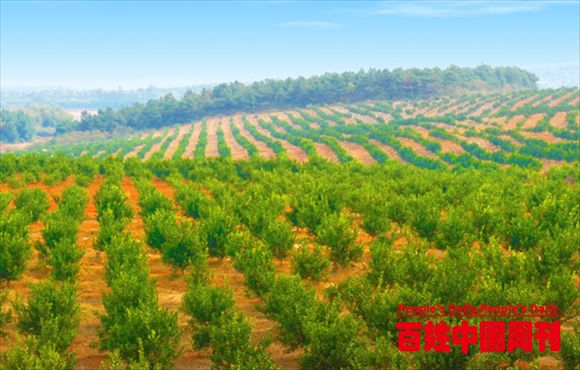 “退租潮”的背后，为什么农民：宁可荒地，也不流转大企业？