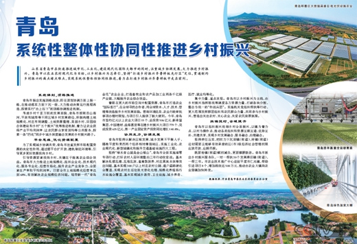 山东省青岛市系统性整体性协同性推进乡村振兴