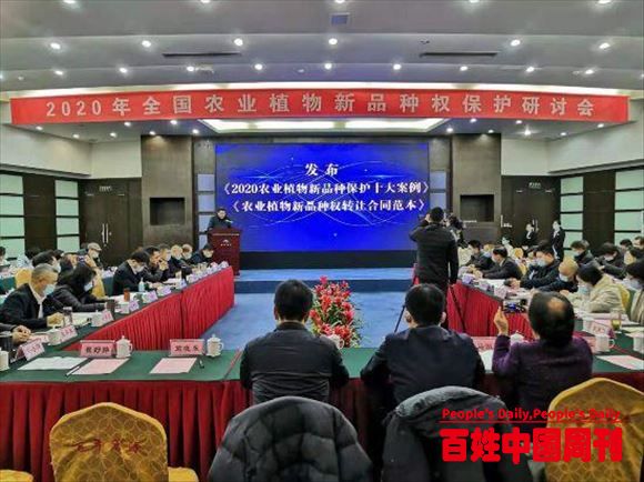 2020年农业植物新品种保护十大典型案例发布