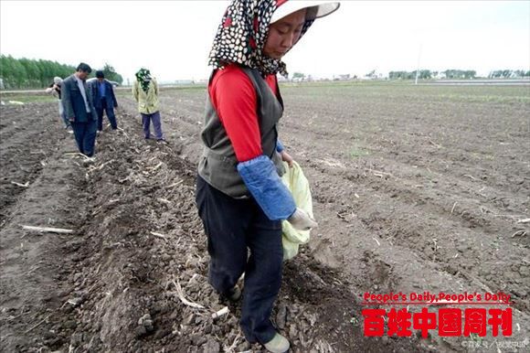 农民的职责是种地产粮，现在都不愿意种地，究竟该咋办？