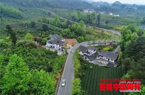 未来农村什么样？