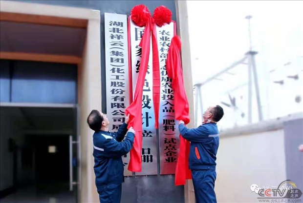 图片15.png