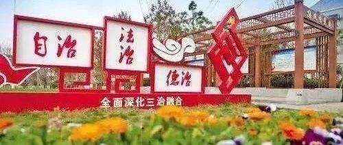 推进乡村治理现代化必须全面提升基层党组织领导能力