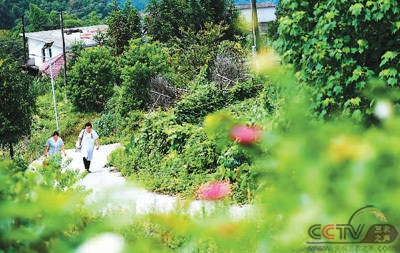 2018年以来医保扶贫政策累计惠及贫困人口4.8亿人次 