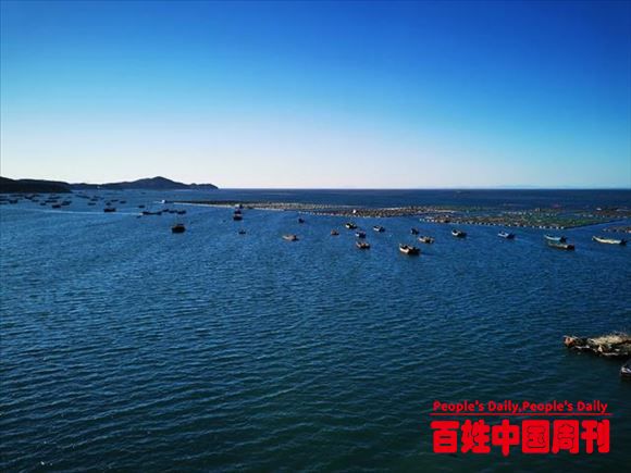 央广网“云上有机农场”计划正式启动 