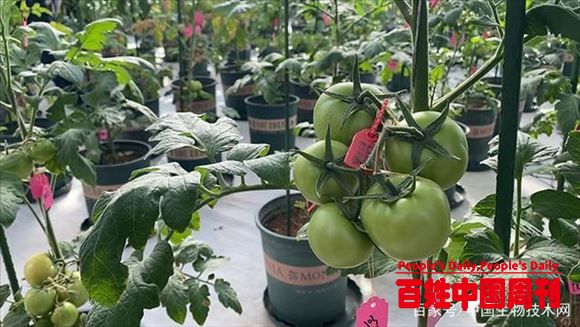 中国农大师生三代诠释“扎根精神”
