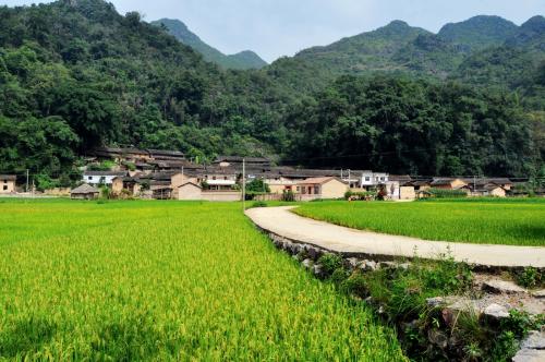 助力美丽乡村建设，北京乡村振兴学院揭牌成立