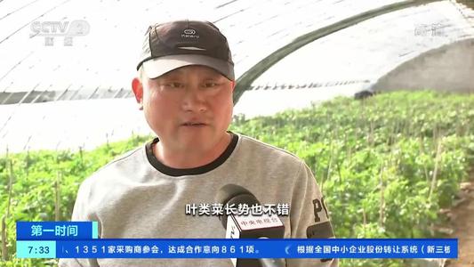 中保协首次发布三大粮食作物成本保险行业示范条款