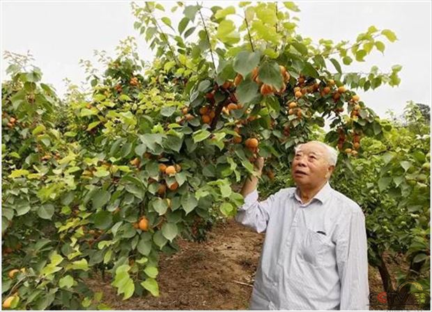 河南辉县范清荣：我是党的人，党叫我干啥就干啥