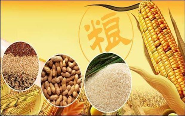 粮食安全保障法已列入全国人大常委会明年立法计划