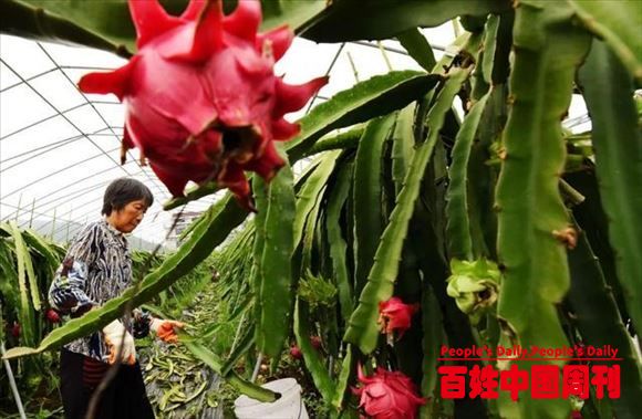 农业种质资源保护利用迈出坚实的步伐，长期保存作物种质资源超52万份